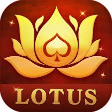 are teen patti mein kya hal hai download
